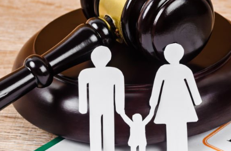 A Family Lawyer's Guide