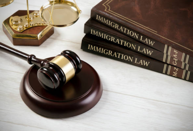 Understanding Visa Options: Expert Insights from an Immigration Lawyer
